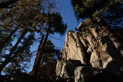 DSC_5164 (Large).JPG